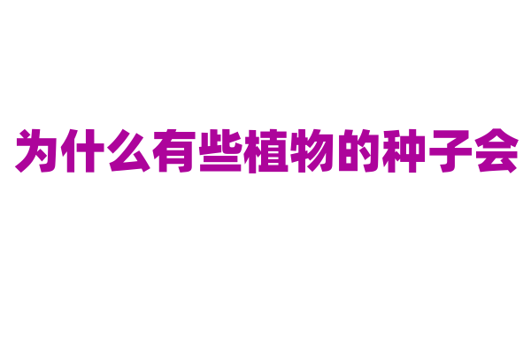 为什么有些植物的种子会 “飞”？